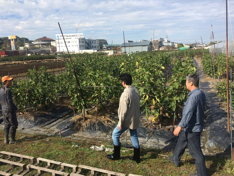2014.10.25　農作業体験を開きます。